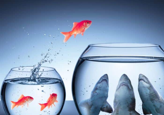 Conséquences d'erreurs dans la DPGF pour la maîtrise d'oeuvre